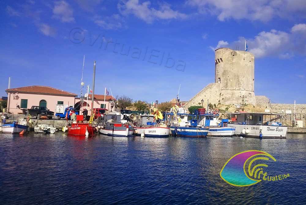 Imbarcazioni da pesca e la Torre di Marciana Marina