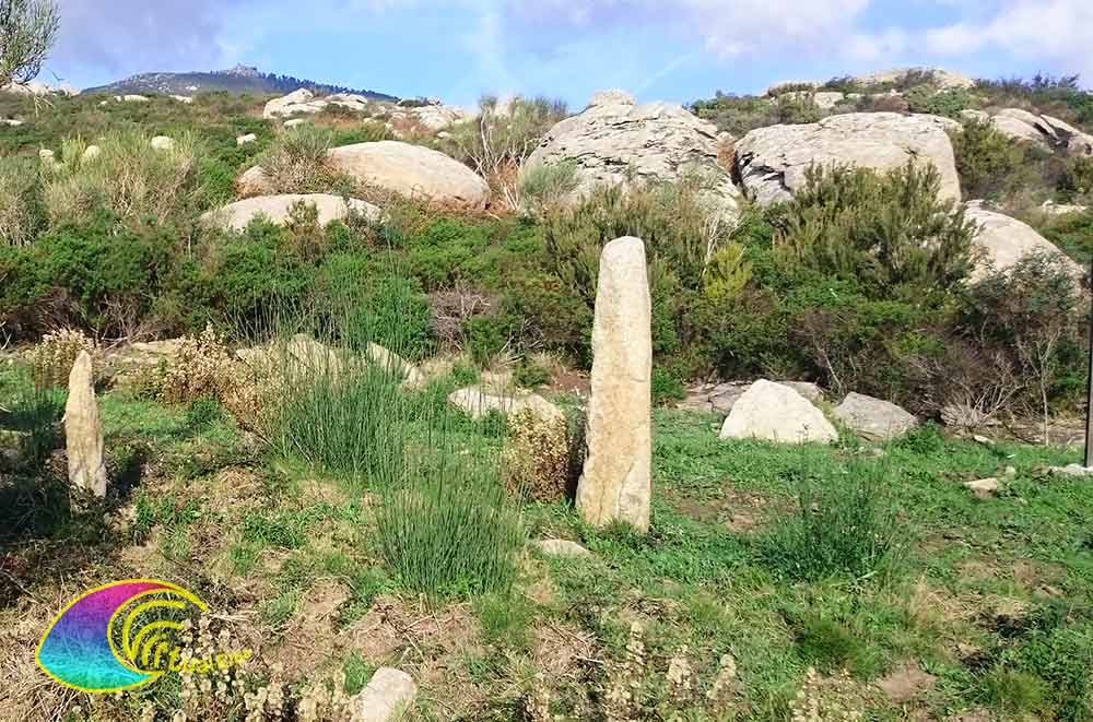 Sassi Ritti Menhir