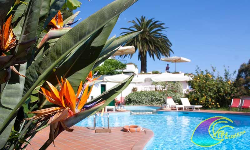 Piscina Hotel Gallo Nero