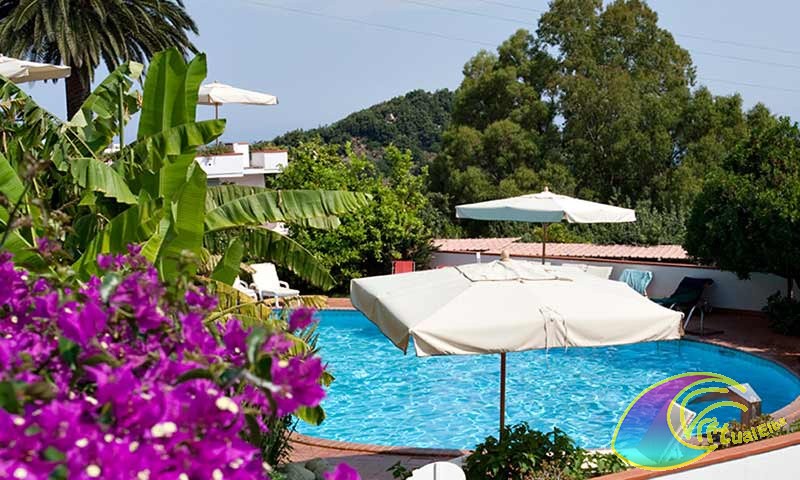 Piscina Hotel Gallo Nero