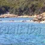 Strand Porticciolo Biodola