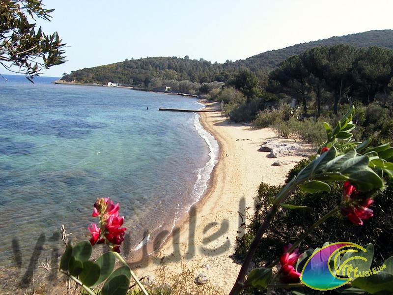 Spiaggia di Galenzana