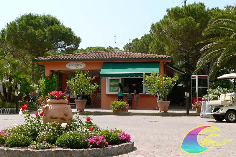 Reception Camping Ville degli Ulivi