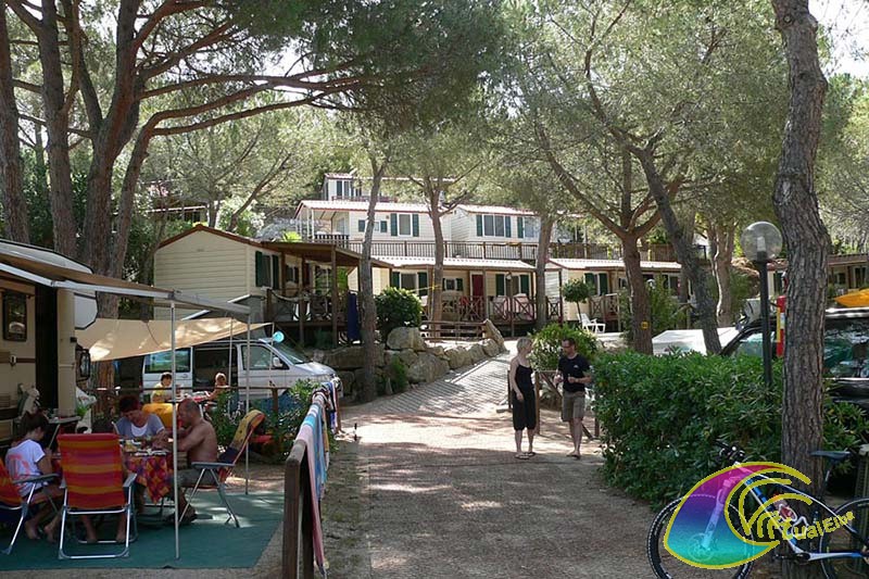 Camping Ville degli Ulivi