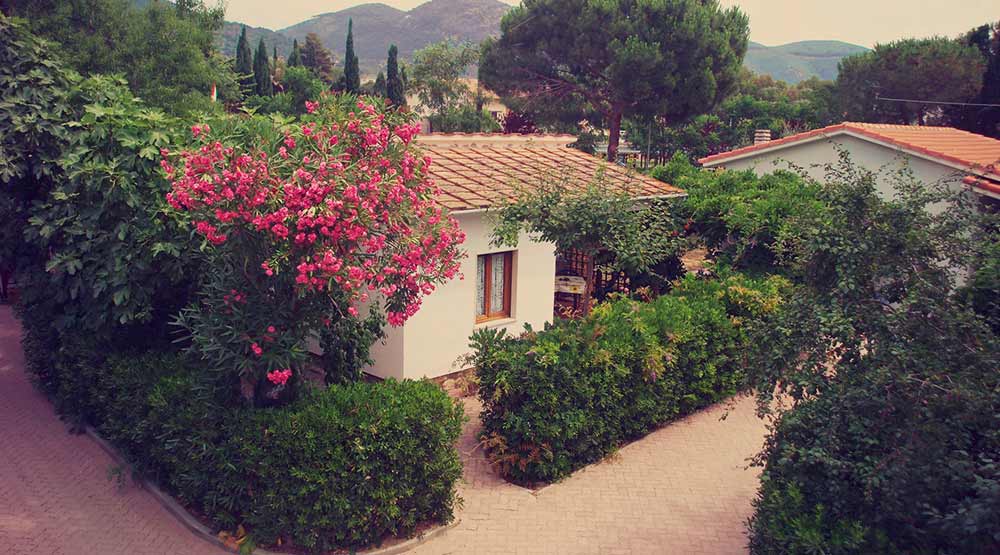 Geranio Appartamenti Tallinucci