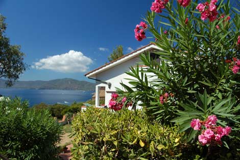 Agenzia Elba Travel (Tesi Viaggi)