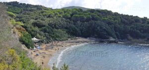 Strand Barabarca Capoliveri