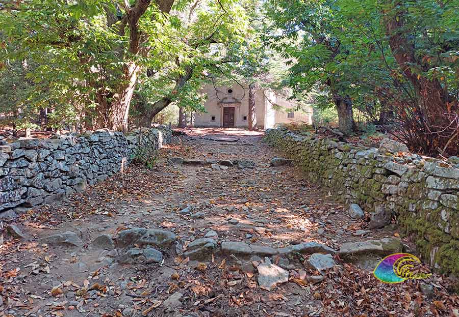 The path that from Marciana Alta leads to the Hermitage of San Cerbone