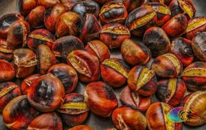 Roasted chestnut chestnuts