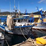 Barche da Pesca Isola d'Elba