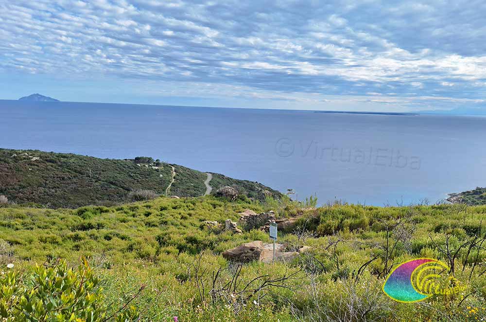 Alter Mühlstein aus Cavoli-Granit