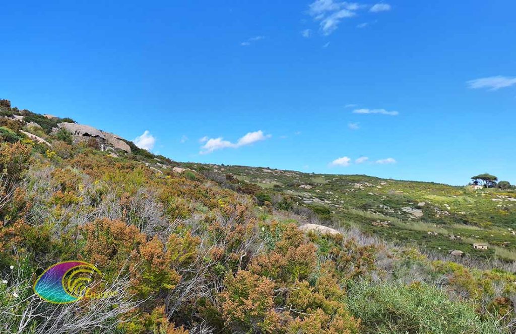 Die Hütte von Marco mit blick vom Alten Steinbruch, der Grottarelle