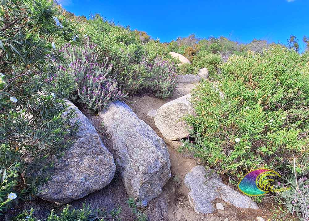 Granit-säulen - Alten steinbruch, der Grottarelle