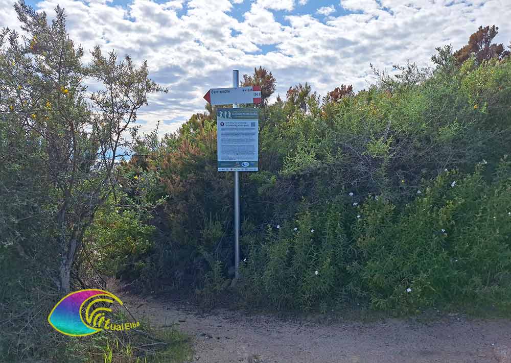 Abzweig zum Alten steinbruch, der Grottarelle