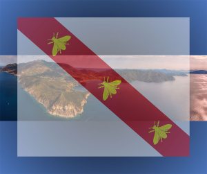 Flood emergency the support and appeal of the Elba Island Foundation